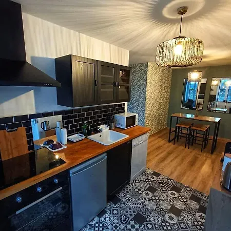 Apartament Le Duplex Des Arcades - T2 Lumineux Hypercentre